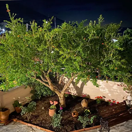 Βίλα V Λίμνη