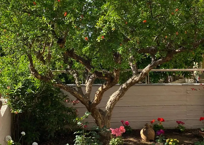 Βίλα V Λίμνη