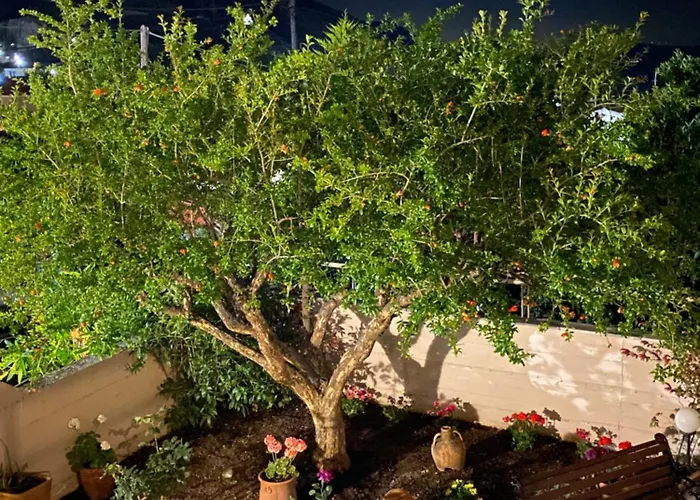 Βίλα V Λίμνη